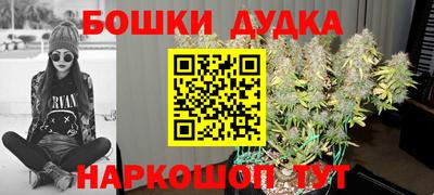 индика Донецк