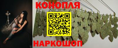 индика Донецк