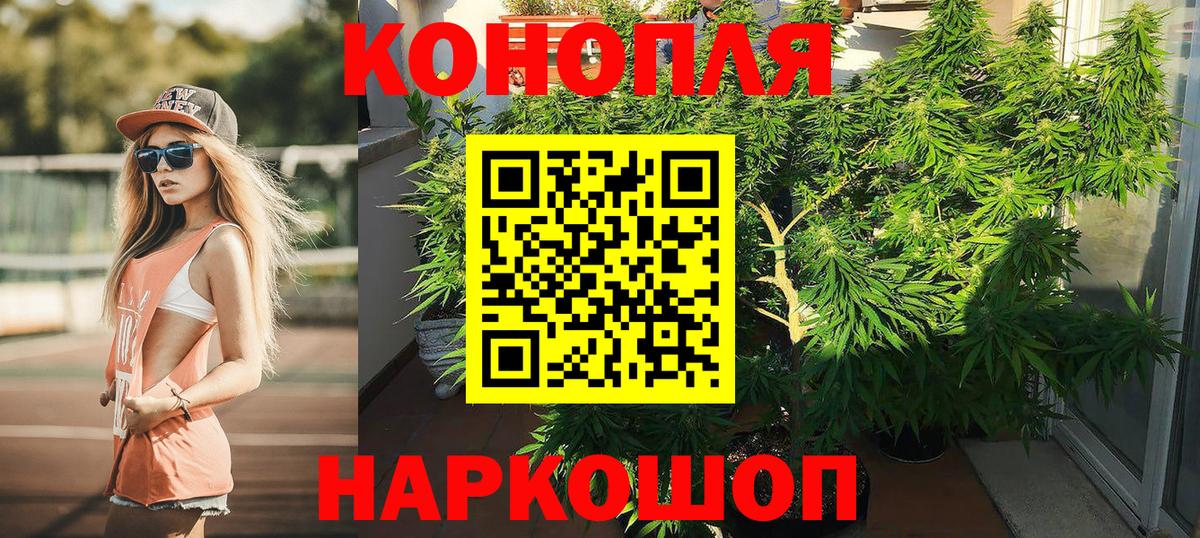 МАРИХУАНА сатива  Вход с VPN  Бошки Шишки семена  Вологда 